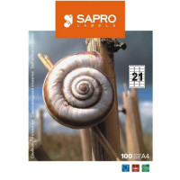 Наклейки SAPRO (А4/21) 63,5 х 38,1 мм х 100 шт/уп закругленные углы (S2113)