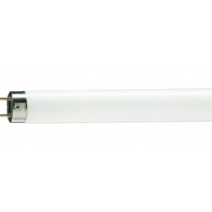 Лампа Philips TL-D G13 600mm 18W/54-765 1SL/25 люминисцентная (928047305451)