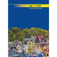 Книга учета А4 96 л линия офсет (тв лам обл) Buromax (BM.2401)