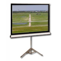 Проекционный экран ELITE SCREENS T113NWS1