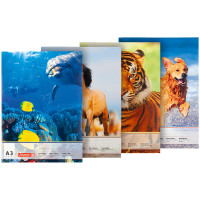 Альбом для рисования А3 10 лист. 100 г/м2, BRUNNEN (1047903)