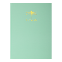 Книга учета А4 96 л клетка Buromax FAVOURITE PASTEL обложка твердая ламинированная мятная (BM.2400-438)
