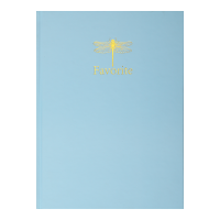 Книга учета А4 96 л клетка Buromax FAVOURITE PASTEL обложка твердая ламинированная голубая (BM.2400-414)