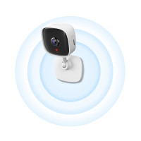 Камера видеонаблюдения IP TP-Link Tapo C110