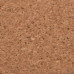 Коврик для мыши пробковый 2E Cork S Brown (2E-PAD-S-CORK)