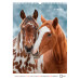 Календарь 2026 А3 настенный перекидной, на 1 пружину Axent Horses (8804-26-3-a)