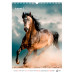 Календарь 2026 А3 настенный перекидной, на 1 пружину Axent Horses (8804-26-3-a)