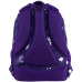 Рюкзак GoPack Teens 162M-3 (go25-162m-3)