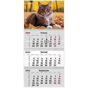 Календарь 2026 квартальный, настенный перекидной, на 3 пружины Axent Cats 2 (8803-26-14-a)