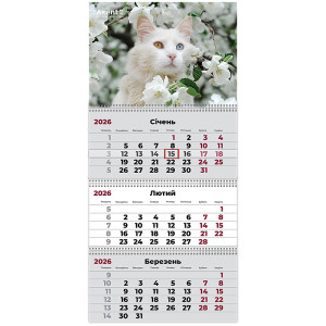 Календарь 2026 квартальный, настенный перекидной, на 3 пружины Axent Cats 3 (8803-26-15-a)
