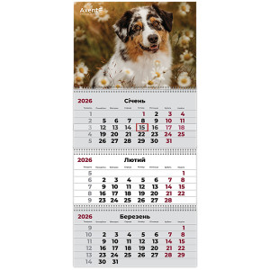 Календарь 2026 квартальный, настенный перекидной, на 3 пружины Axent Dogs 1 (8803-26-16-a)