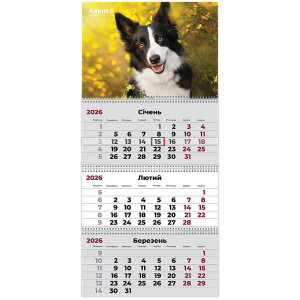 Календарь 2026 квартальный, настенный перекидной, на 3 пружины Axent Dogs 3 (8803-26-18-a)