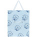 Пакет пластиковий подарунковий Axent Flower Symphony-2 25х19x8.5 см (8503-42-a)