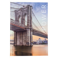 Книга учета А4 96 л клетка обл тверд Axent Power (8422-567-a)