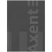 Книга учета А4 96 л клетка обл тверд Axent One color серая (8426-4-a)