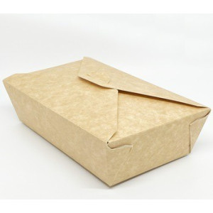 Ланч-бокс 704 на 1000мл из картона 20,5*12,5*5см 50шт