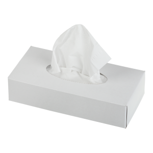 Салфетки косметические 2слой 20 х 19 см BUROCLEAN в картон. прямоуг. боксе (100 шт)