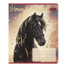 Тетрадь ученическая школьная HORSES, 24 л., клетка, KIDS LINE (ZB25.1770K)