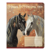Тетрадь ученическая школьная HORSES, 24 л., линия, KIDS LINE (ZB25.1770L)