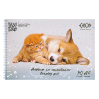 Альбом для малювання FRIENDLY, А4, 30 арк., 120 г/м2, на пружині, сірий, KIDS Line (ZB.1451-09)