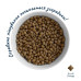 Сухий корм для собак Home Food ADULT MINI Grain-free hypoallergenic з качкою та індичкою 300 г (4820290090194)