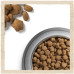 Сухий корм для собак Purina Dog Chow Active Adult зі смаком курки 2.5 кг (7613034487858)