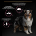 Сухой корм для собак Purina Pro Plan Dog Medium Adult Sensitive Skin с лососем и рисом 14 кг (7613035120464)