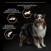 Сухой корм для собак Purina Pro Plan Dog Medium Adult с курицей 3 кг (7613035114807)