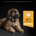 Сухой корм для собак Purina Pro Plan Dog Large Puppy Robust с курицей и рисом 12 кг (7613035120341)
