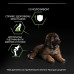 Сухой корм для собак Purina Pro Plan Dog Large Puppy Robust с курицей и рисом 12 кг (7613035120341)