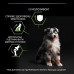Сухий корм для собак Purina Pro Plan Dog Medium Puppy з високим вмістом курки 12 кг (7613035120402)
