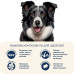 Сухий корм для собак Home Food ADULT MEDIUM/MAXI For active adult and junior dogs з ягням та рисом 300 г (4820290090279)