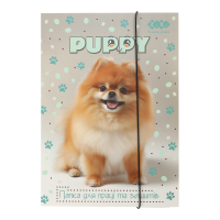 Папка для праці та зошитів DOG, картонна, на гумці А4 (225x316мм), KIDS Line (ZB.14940-22)