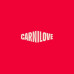 Консервы для собак Carnilove Salmon & Turkey 400 г (8595602582839)