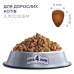 Сухой корм для кошек Club 4 Paws Премиум. С лососем 300 г (4820083909221)