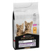 Сухий корм для кішок Purina Pro Plan Original Kitten до 12 місяців з куркою 1.5 кг (7613036505178)