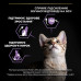 Сухий корм для кішок Purina Pro Plan Original Kitten до 12 місяців з куркою 1.5 кг (7613036505178)