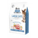 Сухой корм для кошек Brit Care Cat GF Large cats Power and Vitality 400 г (8595602540921)