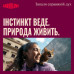 Сухий корм для кішок Carnilove Active Beef & Venison Sterilised 6 кг (8595602581719)