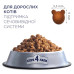Сухой корм для кошек Club 4 Paws Премиум. Поддержка здоровья мочевыделительной системы 14 кг (4820083909375)