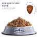 Сухий корм для кішок Club 4 Paws з лососем 2 кг (4820269144736)