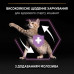 Сухий корм для кішок Purina Pro Plan Original Kitten з куркою 10 кг (7613036505307)