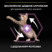 Сухий корм для кішок Purina Pro Plan Original Kitten з куркою 400 г (7613036545099)